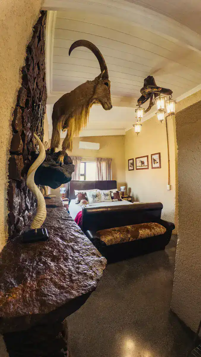 Room-1h.webp
